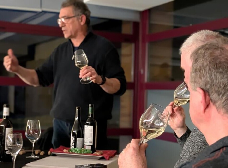 Cata-vins