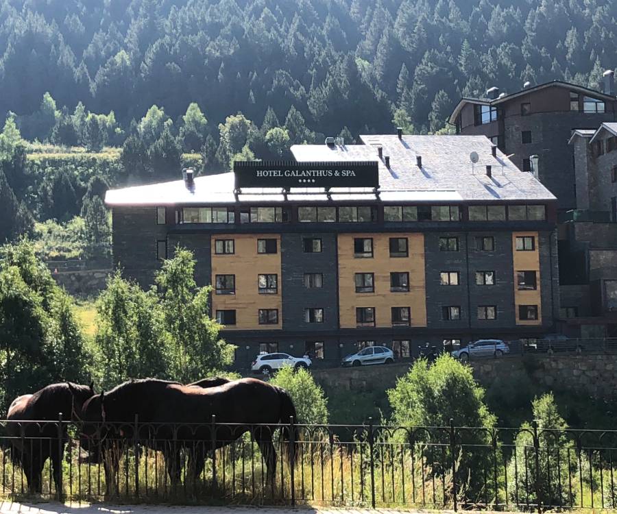 Hotel Galanthus & Spa Hotel Galanthus & Spa